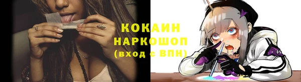 спайс Баксан