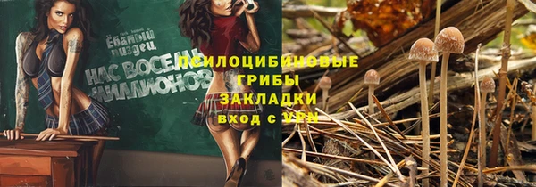мдпв Навашино