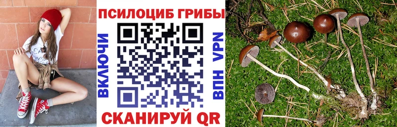 Псилоцибиновые грибы прущие грибы  как найти наркотики  mega сайт  Плёс 